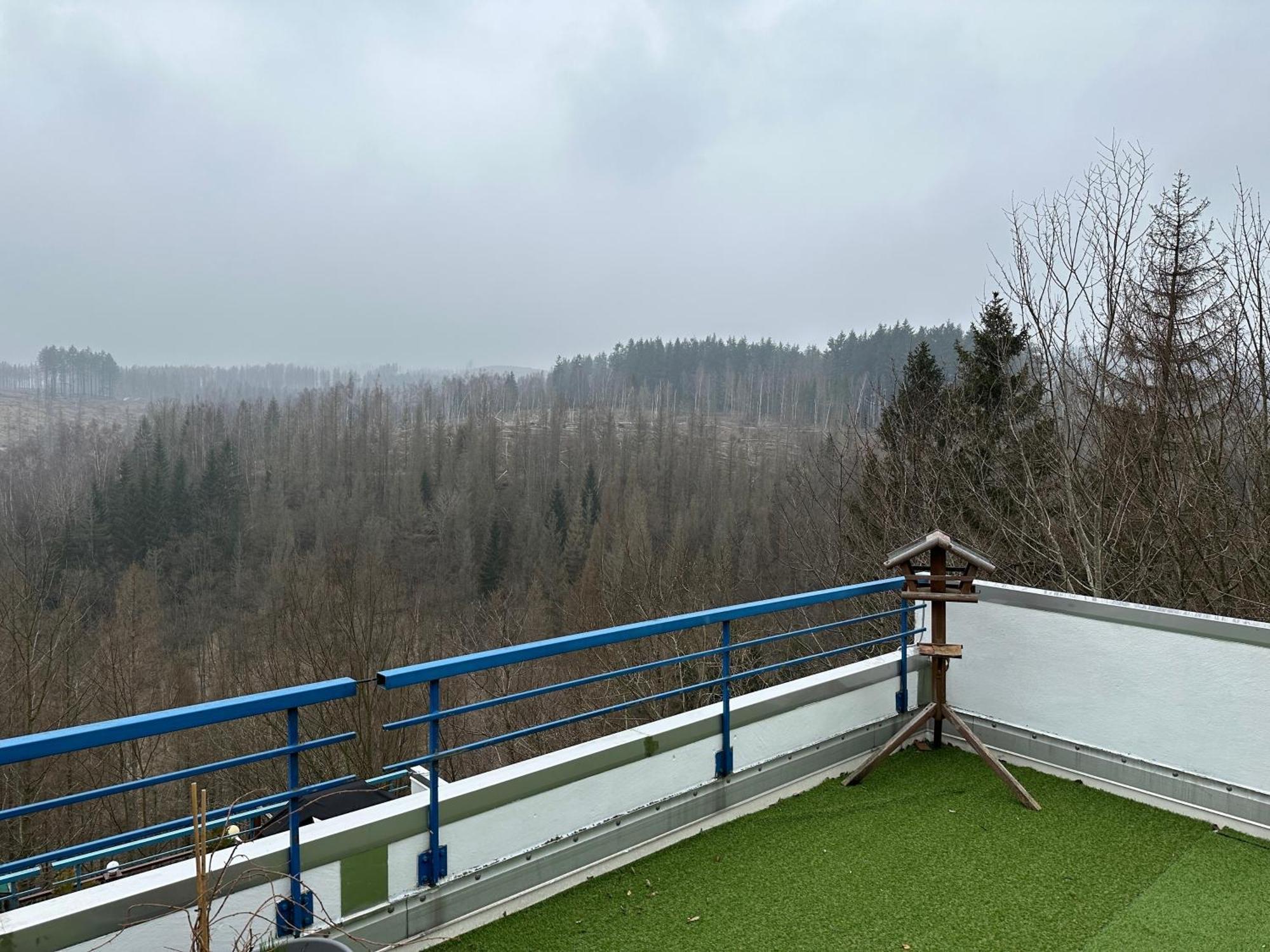 Ferienwohnung Harz #4, Pool, Sauna, Wlan Braunlage Exterior photo